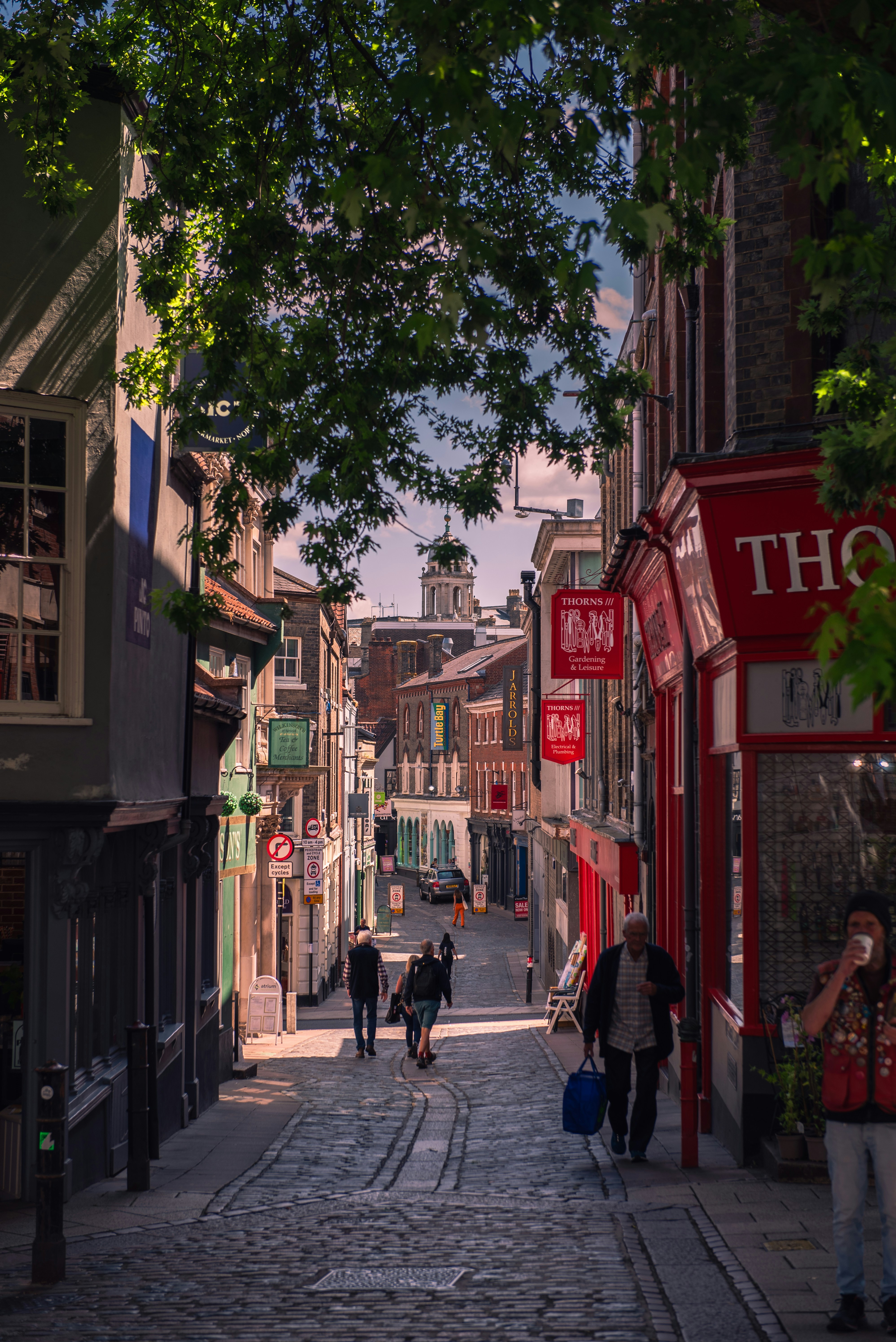 A charming cobblestone street in Norwich lined with colorful historic buildings and small shops, with people walking along the pedestrian pathway.