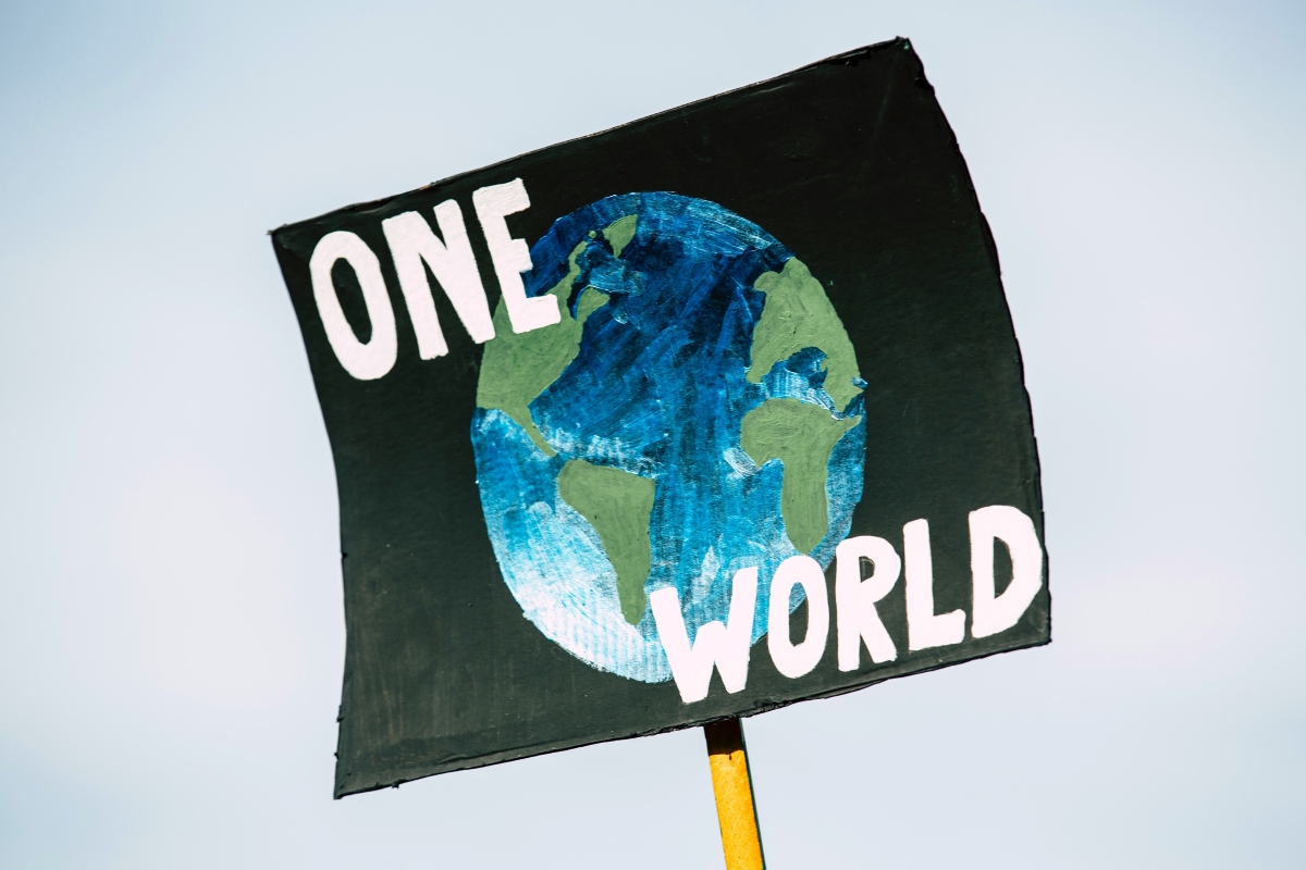 A hand-painted protest sign on a wooden stick displays "ONE WORLD" in white letters with a colorful Earth illustration on black background.