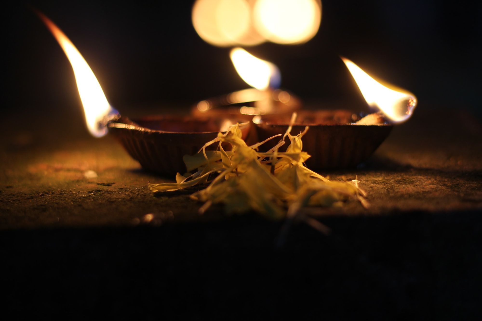 Traditional oil lamps with bright flames illuminate dried flowers, creating a warm Diwali celebration atmosphere.